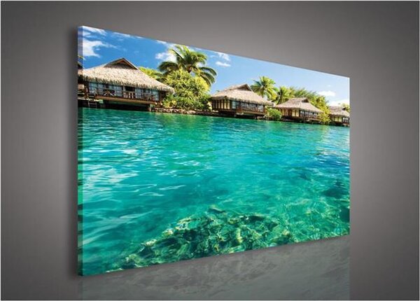 Obraz na plátne, rozmer 100 x 75 cm, Maledivy, IMPOL TRADE 161O1