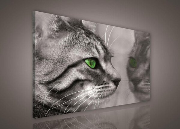 Obraz na plátne, rozmer 100 x 75 cm, mačka, IMPOL TRADE 181O1