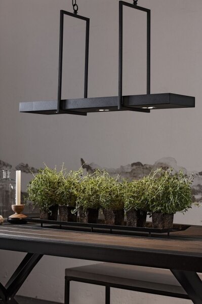 Markslöjd 105780 - LED Stmievateľný luster TRAY 3xLED/3W/230V čierna