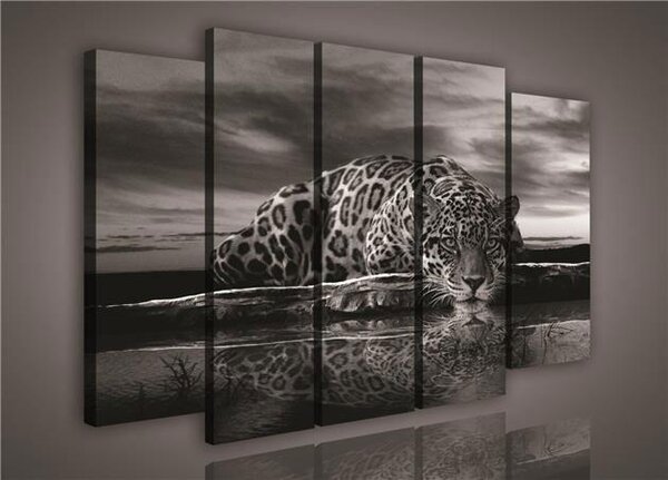 Obraz na plátne, rozmer 150 x 100 cm, jaguár, IMPOL TRADE 171S12