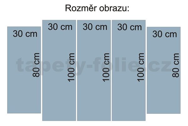 Obraz na plátně les 150 x 100 cm