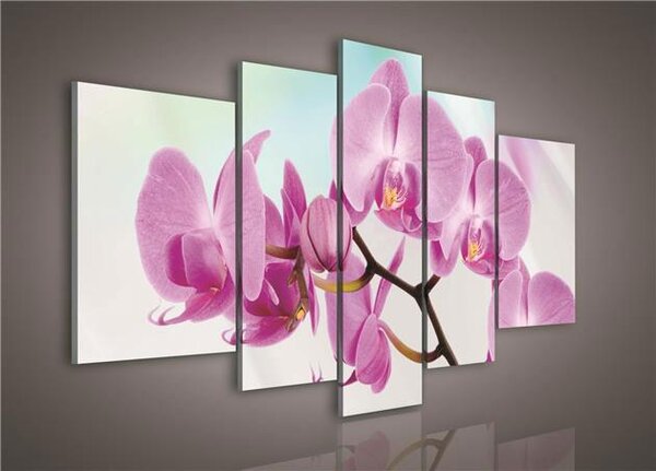 Obraz na plátne, rozmer 170 x 100 cm, orchidea, IMPOL TRADE PS124S4A