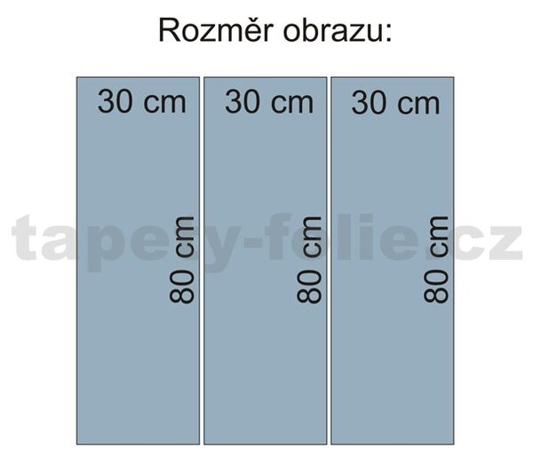 Obraz na plátne tigre 90 x 80 cm