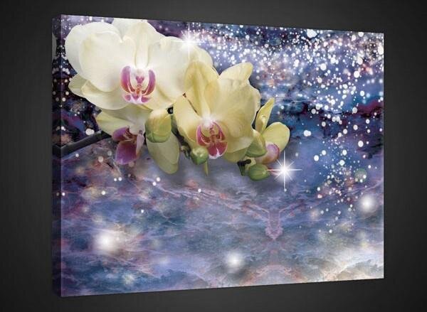 Obraz na plátne, rozmer 100 x 75 cm, orchidea, IMPOL TRADE PP2320O1
