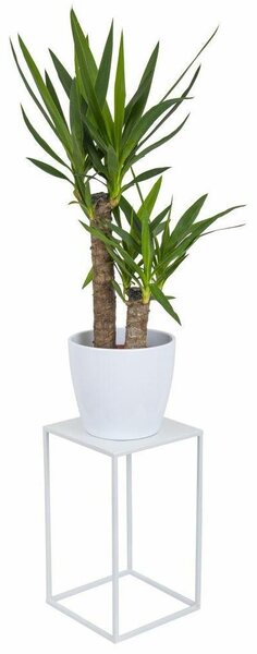 HowHomely Stojan na kvety Ilja 40 cm biely