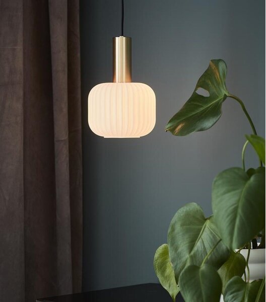 Markslöjd 108123 - Luster na lanku SOBER 1xE14/40W/230V mosadz