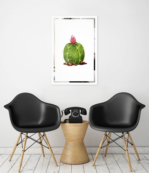 Obraz Kaktus na zrkadle Mirrora 67 - 60x40 cm (Obrazy Mirrora)