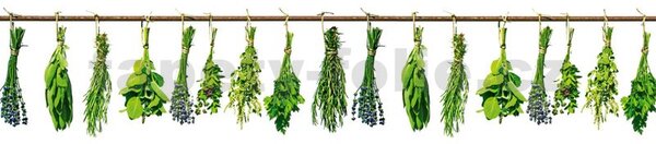 Samolepící tapety za kuchyňskou linku, rozměr 260 cm x 60 cm, bylinky, DIMEX KI-260-007
