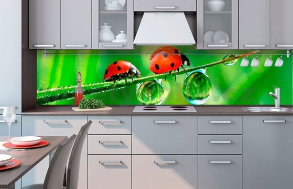 Samolepící tapety za kuchyňskou linku, rozměr 260 cm x 60 cm, slunéčko sedmitečné, DIMEX KI-260-015