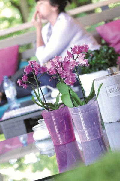 Prosperplast Kvetináč Coubi Orchidea transparentný mat