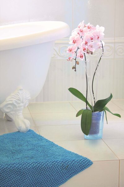 Prosperplast Kvetináč Coubi Orchidea transparentný mat