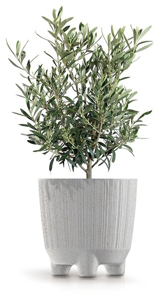 Prosperplast Kvetináč RYFOS N ECO drevo hnedý matný, variant 12,6 cm