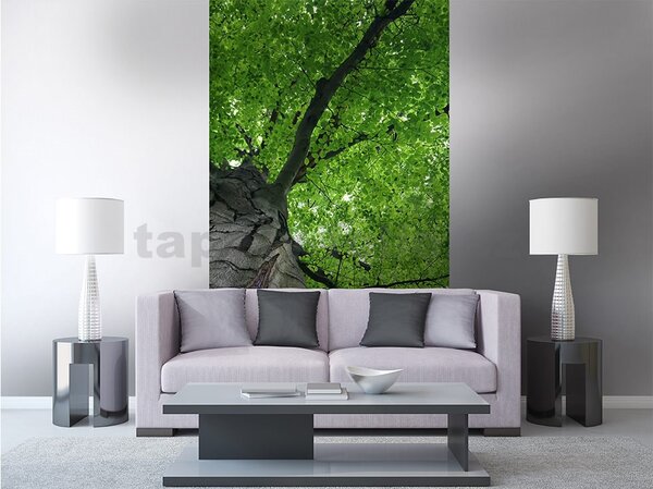 Vliesové fototapety, rozměr 150 cm x 250 cm, koruny stromů, DIMEX MS-2-0101