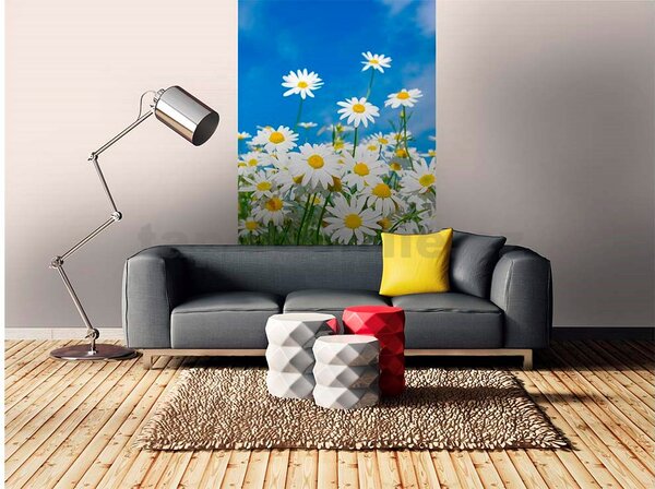 Vliesové fototapety, rozměr 150 cm x 250 cm, kopretiny, DIMEX MS-2-0135