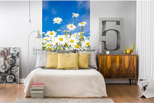 Vliesové fototapety, rozměr 150 cm x 250 cm, kopretiny, DIMEX MS-2-0135