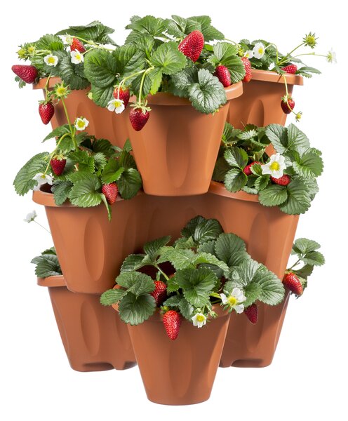 BAMA Kvetináč modulárny TRIFOGLIO, farba terracotta