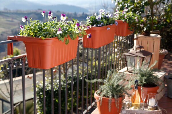 BAMA Závesný kvetináč na zábradlie RONDINE, terracotta Množstvo: 1 ks, Rozměry: 50 cm