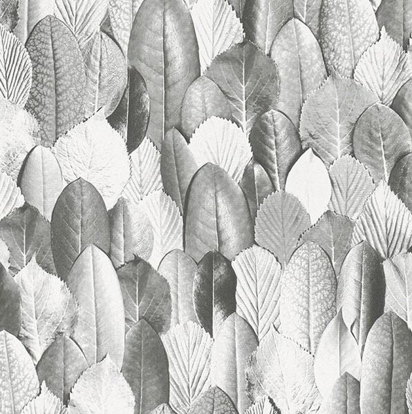 Vliesové tapety na stenu Felicita 31736, rozmer 10,05 m x 0,53 m, lístky sivé, NOVAMUR