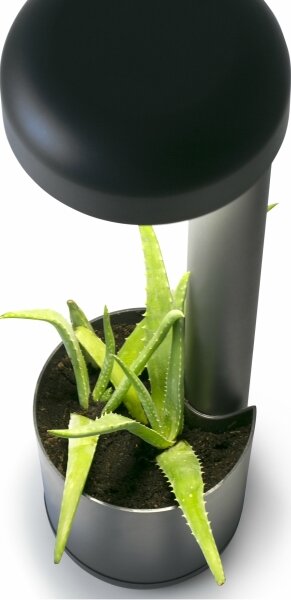 FARO 71206 - LED Vonkajšie svietidlo GROW LED/9W/230V IP65
