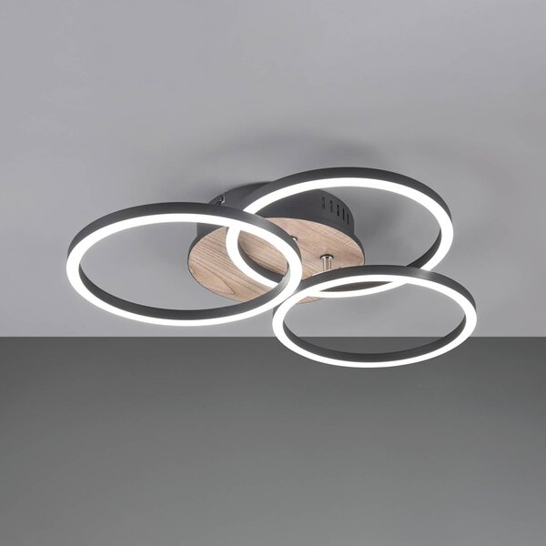 LED svetlo Circle 3-pl. diaľkové ovládanie drevo, Svetlé drevo, Obývacia izba / jedáleň, Drevo, Moderný, Stropné svetlo