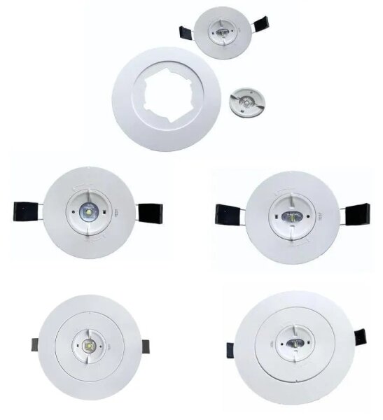 LED Núdzové podhľadové svietidlo LED/2W/230V 6000K