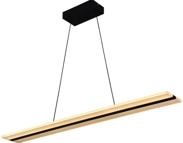 LED Stmievateľný luster na lanku LED/40W/230V 3000-6500K čierna + diaľkové ovládanie