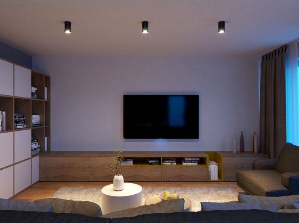 LED2 - LED Stropné svietidlo TUBUS LED/9W/230V čierna