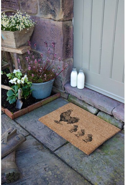 Rohožka z kokosového vlákna 40x60 cm Chickens and Chicks – Artsy Doormats