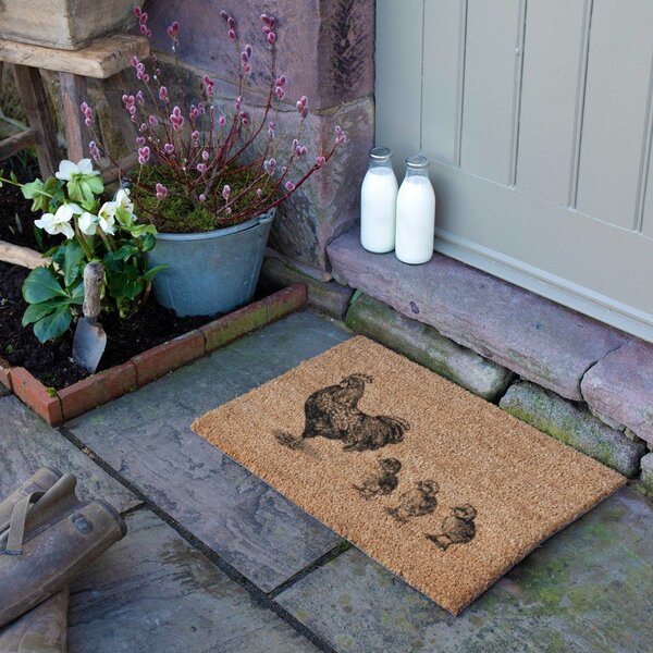 Rohožka z kokosového vlákna 40x60 cm Chickens and Chicks – Artsy Doormats