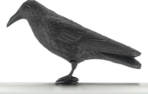 Záhradná figúrka z polyetylénu Crow, 21,5 cm, čierna