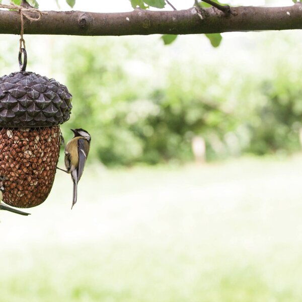 Závesné kŕmidlo pre vtáky Acorn, 30x13,5 cm, kov/polyesterová živica, sivá