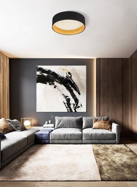 Top Light - LED Stmievateľné stropné svietidlo LED/24W/230V+ diaľkové ovládanie čierna