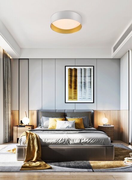Top Light - LED Stmievateľné stropné svietidlo LED/24W/230V + diaľkové ovládanie biela