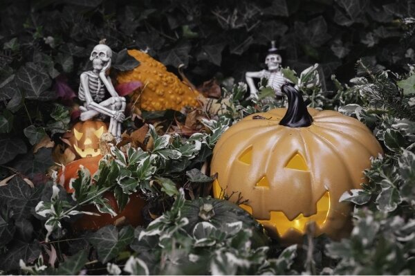 Retlux - LED Dekorácia HALLOWEEN LED/2xLR44/teplá biela kostlivec v tekvici živica