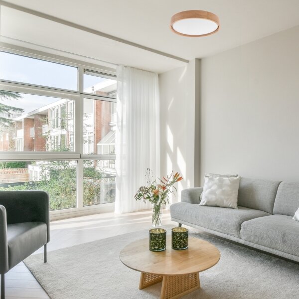 Brilagi - LED stropné svietidlo MANAROLA SMART LED/24W/230V + DO Tuya