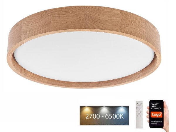 Brilagi - LED stropné svietidlo MANAROLA SMART LED/24W/230V + DO Tuya