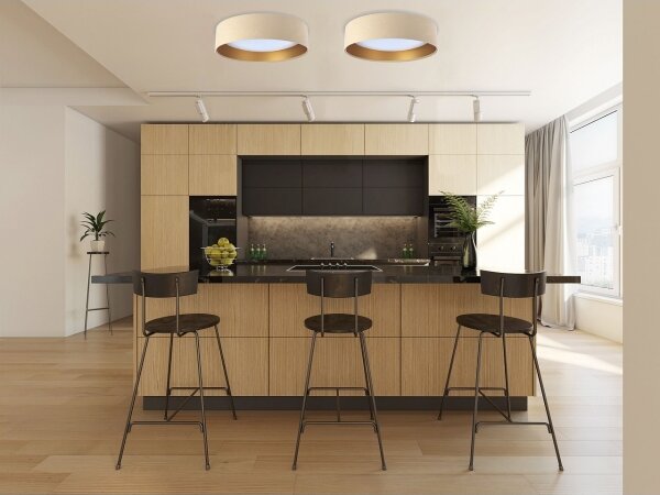 LED Stmievateľné stropné svietidlo SMART GALAXY LED/24W/230V béžová/zlatá + DO