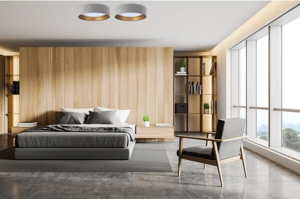 LED Stmievateľné stropné svietidlo SMART GALAXY LED/24W/230V šedá/zlatá + DO
