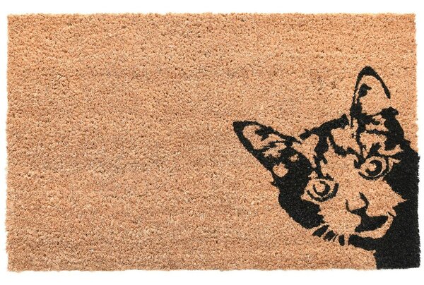Vonkajšia rohožka Kitty, 60x40 cm