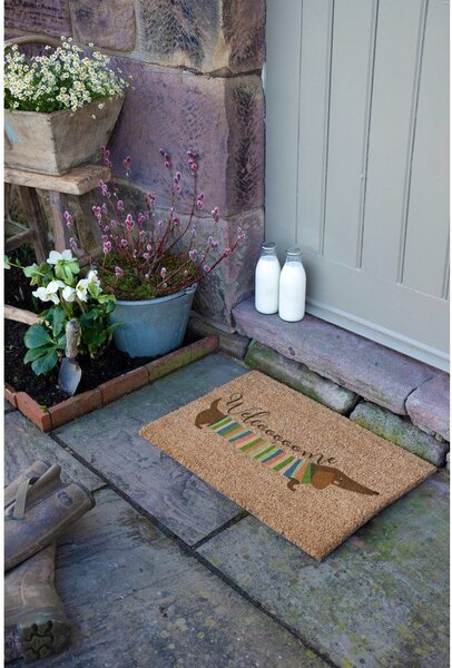 Rohožka z kokosového vlákna 40x60 cm Welcome Sausage Dog – Artsy Doormats