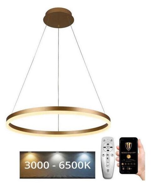 Brilagi - LED stmievateľný luster na lane CIRCLE LED/42W/230V 3000-6500K + diaľkové ovládanie