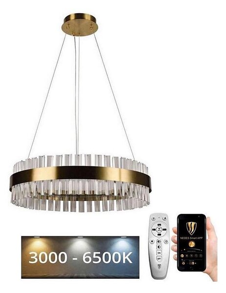 Brilagi - LED Stmievateľný krištáľový luster na lanku HALO LED/40W/230V + DO