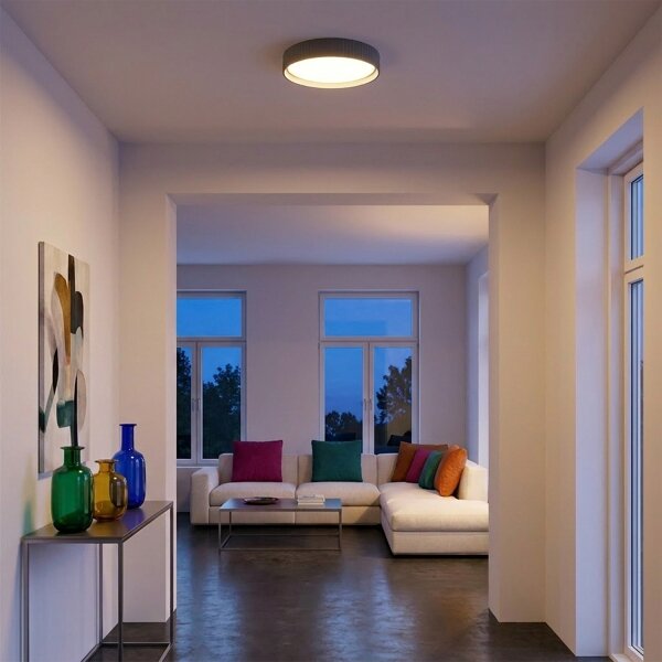 Brilagi - LED stmievateľné stropné svietidlo LUCIA LED/48W/230V pr. 41 cm sivé+DO