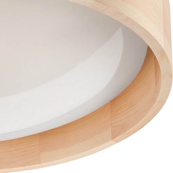Brilagi - LED Stmievateľné stropné svietidlo MANAROLA LED/24W/230V + DO