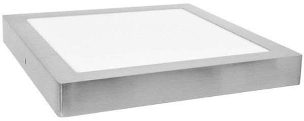 LED Stropné svietidlo RAFA LED/12W/230V 4100K