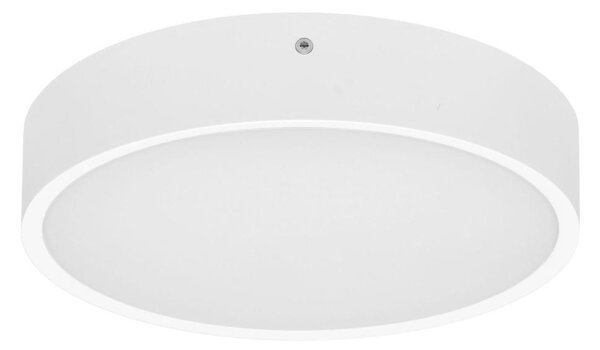 Ecolite WMAT350-25W/BI - LED Stropné svietidlo MARTIN LED/25W/230V IP65 biela