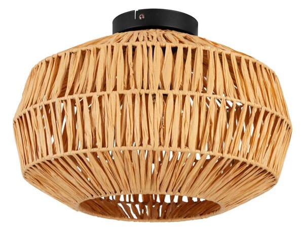 Eglo 44142 - Stropné svietidlo SHELDON 1xE27/40W/230V hnedé
