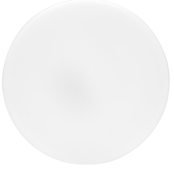 Ecolite W3090-18W - LED Kúpeľňové stropné svietidlo LIRA LED/18W/230V IP44