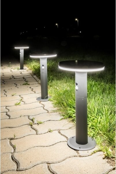 Rabalux 77018 - LED Solárne svietidlo so senzorom ALASKA LED/10W/3,7V IP44