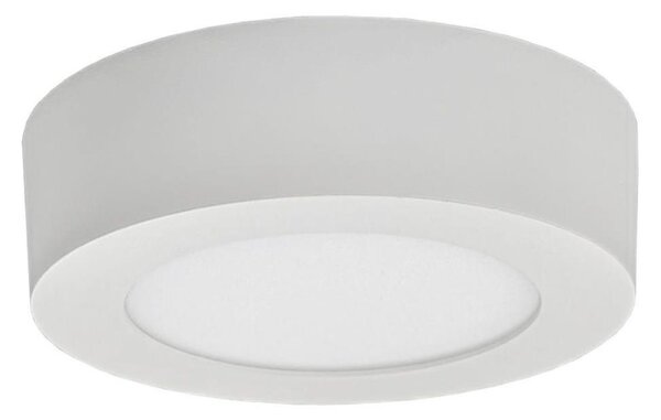 LED Stropné svietidlo FENIX LED/6W/230V 2800K pr. 12 cm